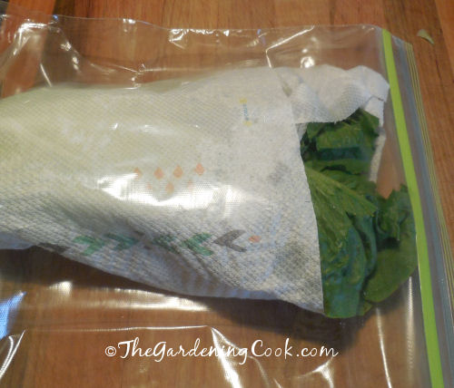 Wrap greens in damp paper towels in a resealable bag to make them last longer.