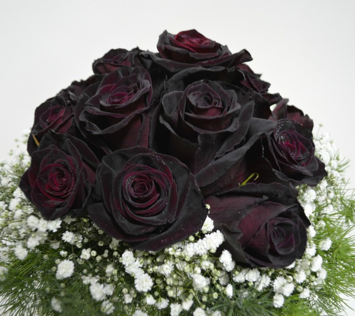 Black roses are either dyed or a very dark red, burgundy or maroon rose