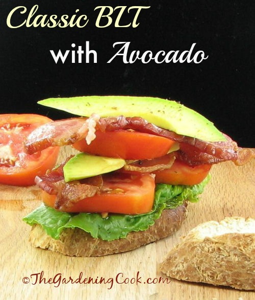 Classic BLT sandwich with avocado