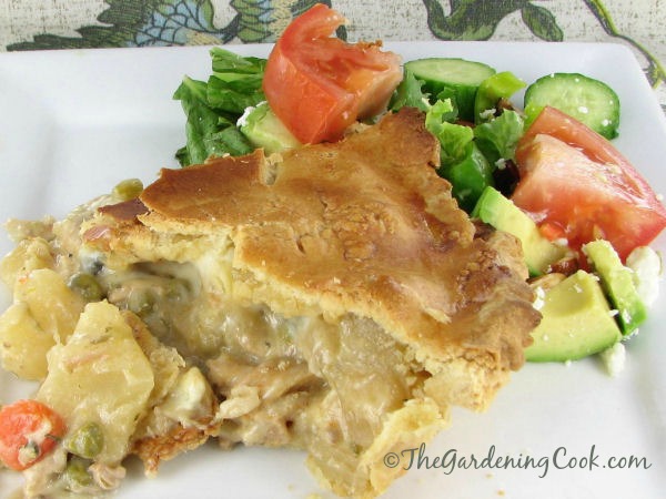 Traditional chicken pot pie. Hard to believe this is mainly a crock pot recipe!