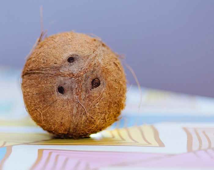 coconut eyes indicate freshness. They should not be wet
