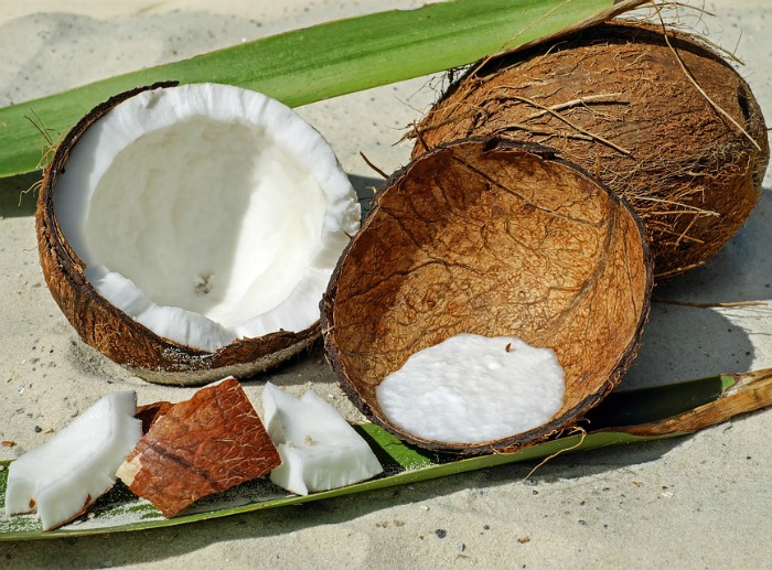 Coconut meat
