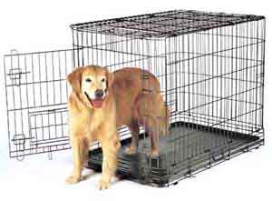 clean pet cages with hydrogen peroxide