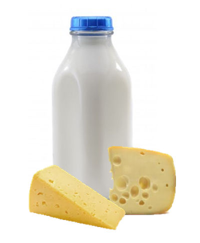Dairy Substitutes