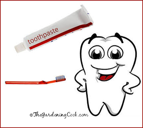 Make your own tooth paste with baking soda and hydrogen peroxide.