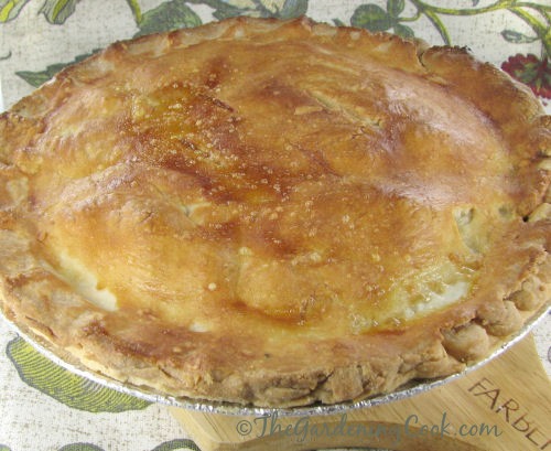 Finished crock pot chicken pot pie.