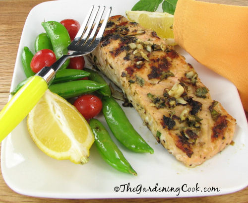 Grilled Salmon with herbs and a Dijon Mustard paste