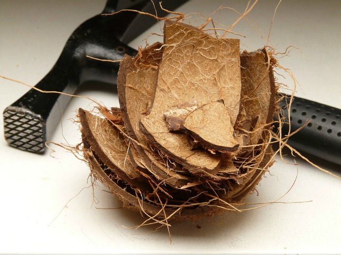 Hammer and coconut shell