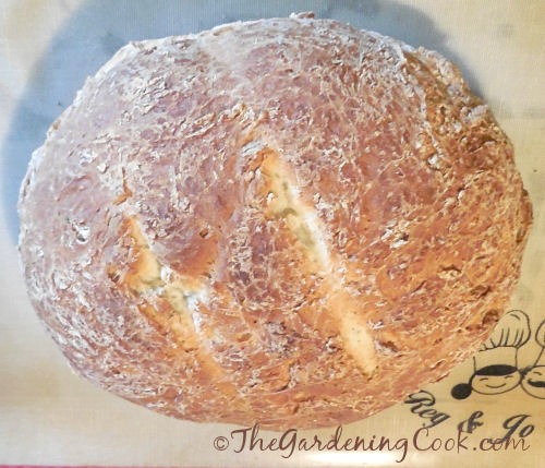 Crusty Italian herb bread