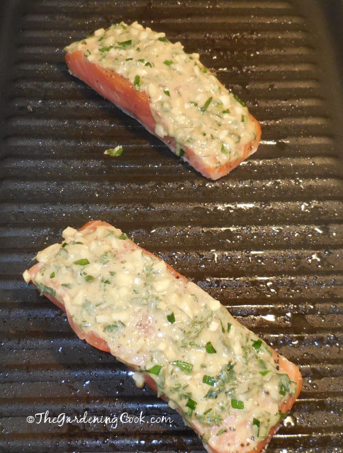 Grilling the salmon