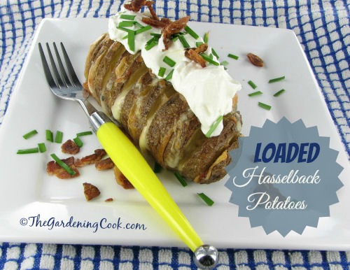 Fully Loaded Hasselback Potatoes