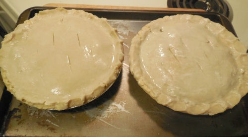 Chicken pies ready to bake.