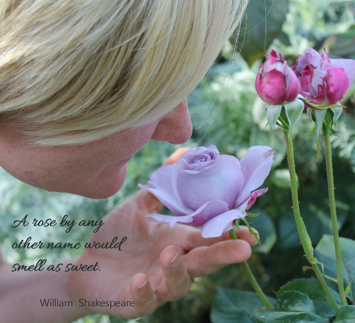 A rose by any other name would smell as sweet. (William&nbsp; Shakespeare)