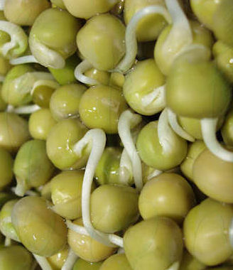 Help seeds to germinate