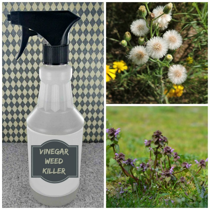 Natural Vinegar Weed Killer – The Organic Way