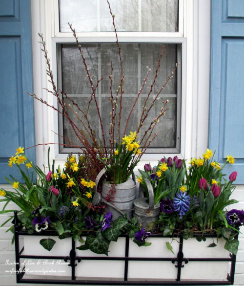 Watering Can in a window box planter