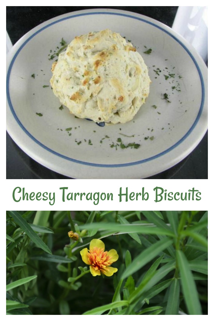 These cheesy herb biscuits are flavored with a great blend of tarragon, chives and parsley for a great taste.