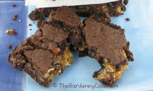 Melt in your mouth turtle brownies