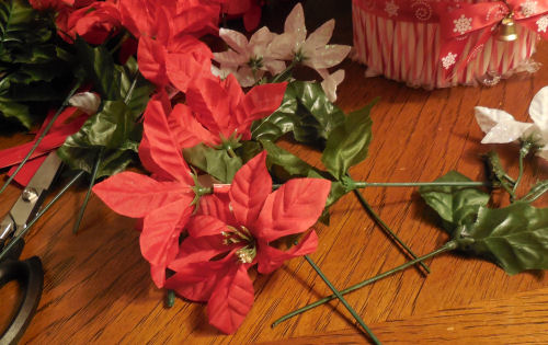 pointsettia picks