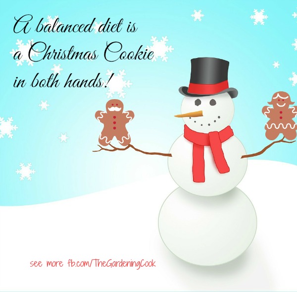 A balanced Diet is a Christmas cookie in both hands