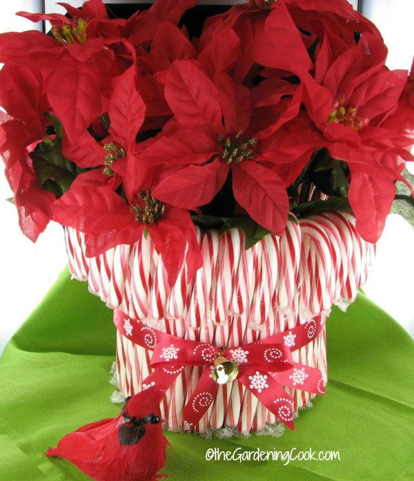 Candy Cane vase is an easy holiday decor project