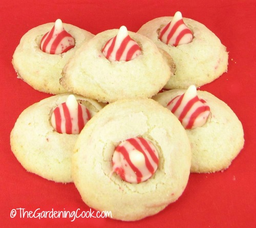 Candy Cane Peppermint Kiss cookies