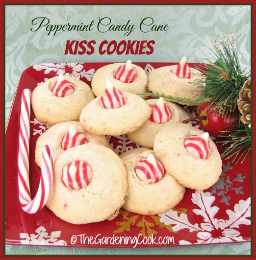 Candy Cane Peppermint Kiss Cookies