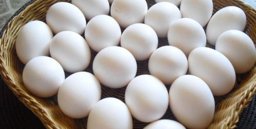 Eggs can be frozen either whole or cracked