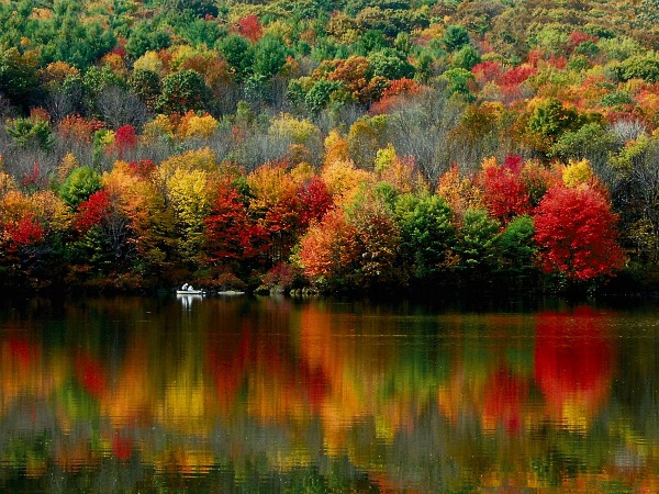 Nature at its best. The colors of fall