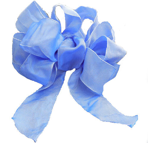 Blue floral bow.