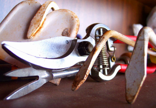 Winterize garden tools. Clean rust from hand tools