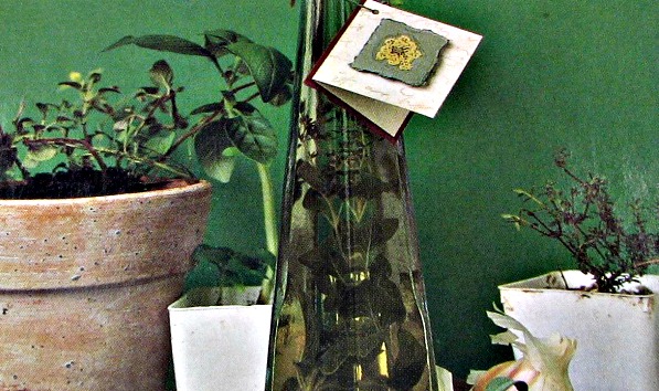 Herb vinegar