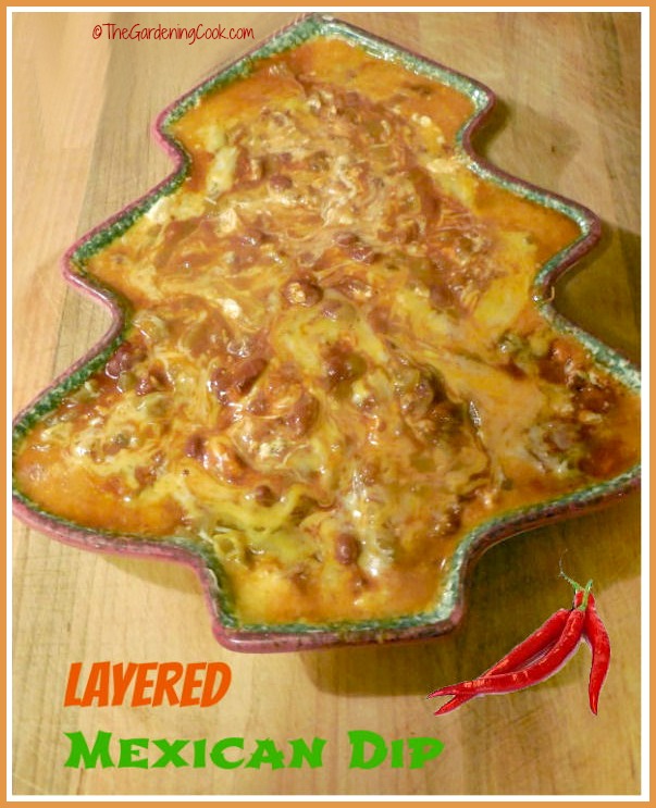 4 Layer Mexican Party Dip
