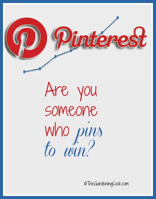 Do Your Pinterest Pins Make You Someone Who Pins to Win?