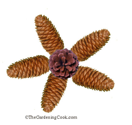 Pine cone star