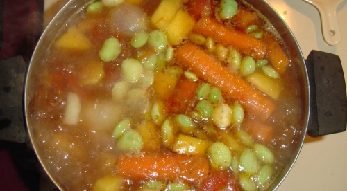 Freeze vegetable scraps to use later in home made soups.