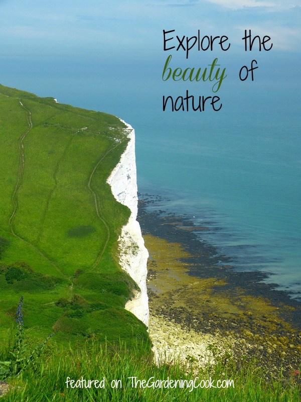 Nature Photos- A collection of Nature at Its Best