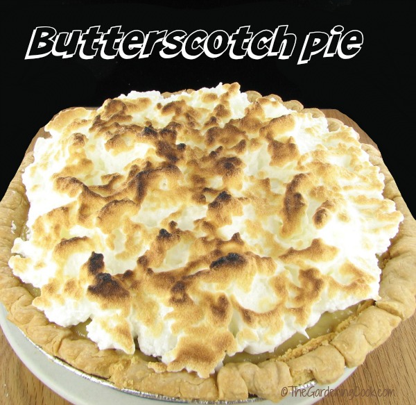 butterscotch pie with meringue