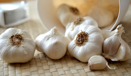 garlic