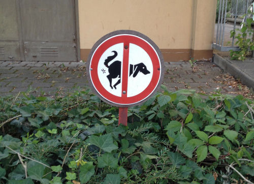 use plastic grocery bags for doggie poop.