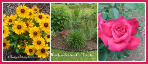 Gardening Ideas page