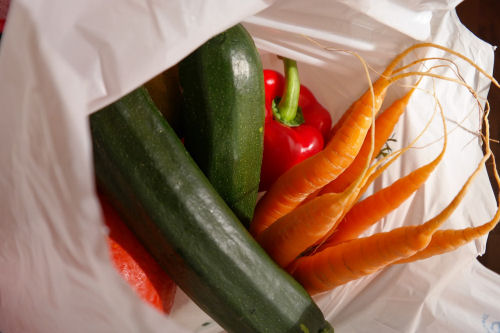 fresh vegetables from the garden