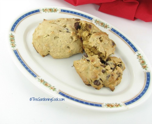 Gluten free peanut butter oatmeal chocolate chip cookie