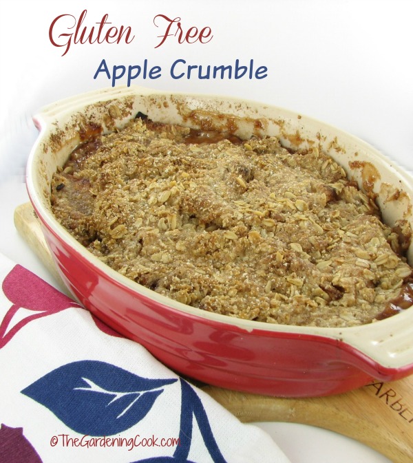 Gluten free apple crumble in a red dish with red and blue napkin and text overlay.