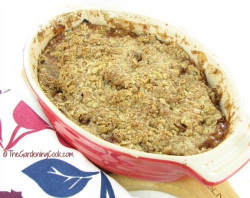 Gluten free apple crisp in a red pan with a red and blue tea towel.