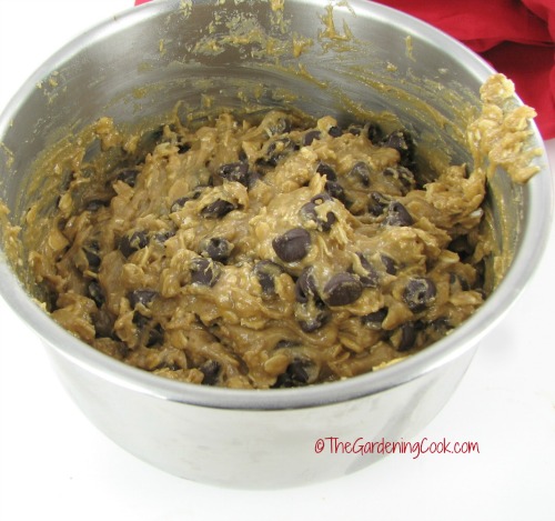 gluten free peanut butter oatmeal dough