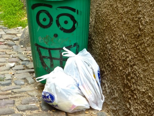 use plastic bags in the car for trash