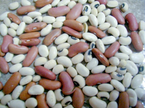dried beans are a low cost form of protein