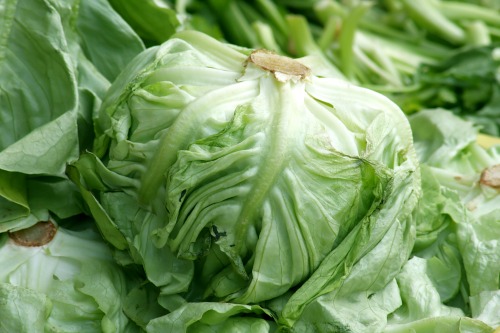 tips to save money on food. Use lettuce heads instead of bagged lettuce