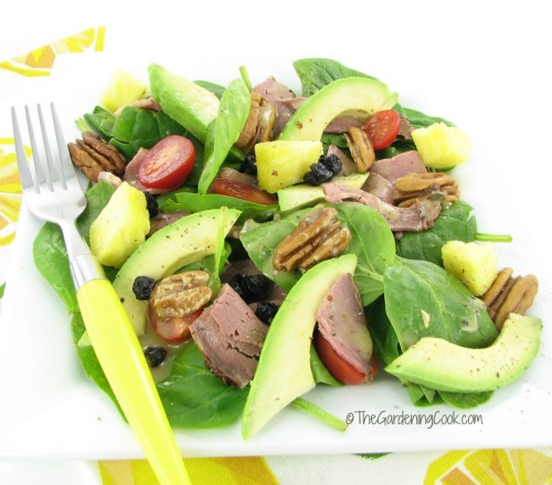 Paleo Beef Avocado Blueberry Salad with maple Mustard dressing.